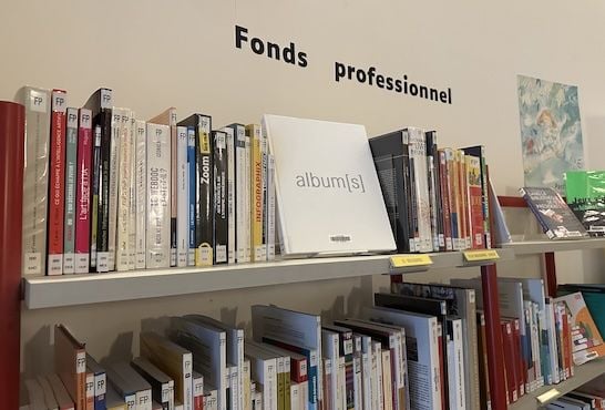 Fonds professionnel