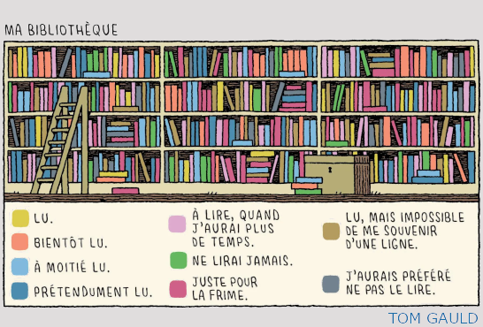 Classification